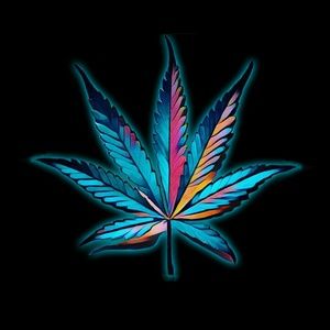 Meet your Posher, Javon